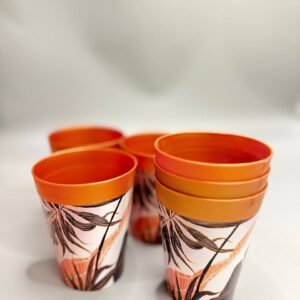 سيت كلاص بلاستك