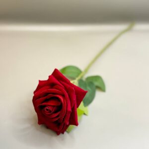 ورده حمره
