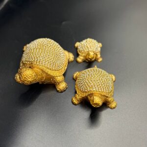 سيت سلحفاه ديكور