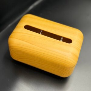 حافظه كلينس