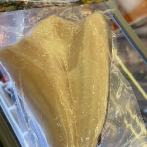 سمك فراشه المرجان